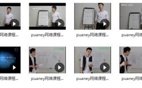 puaney倪《网络课程5.0属性》完整版